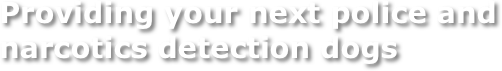 Providing your next police and narcotics detection dogs
